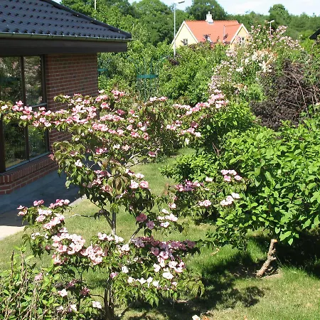 Hos Jens Og Inge * Alken
